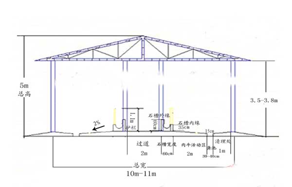 肉牛養(yǎng)殖場(chǎng)建設(shè)方案