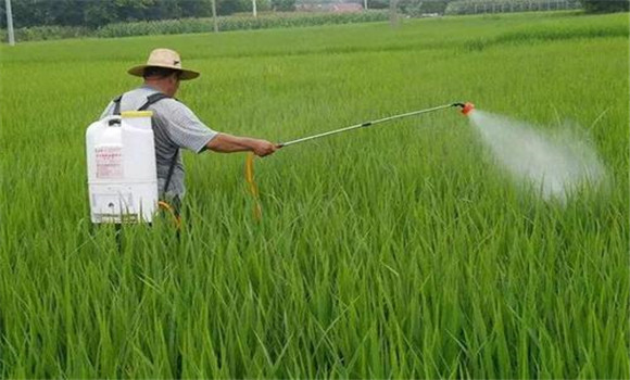 雨季施用農(nóng)藥要注意事項(xiàng)