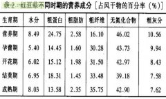 紅豆草經(jīng)濟(jì)價值及利用 紅豆草的功效與作用