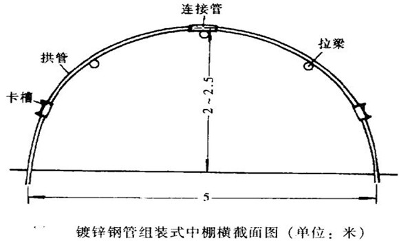 塑料中棚加外覆蓋能明顯使蔬菜早熟，效益高