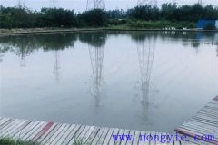 怎樣建設(shè)一個(gè)良性循環(huán)的生態(tài)養(yǎng)魚場