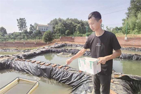 魚池的并塘方法