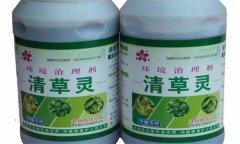 草除靈主要?dú)⑹裁床?草除靈使用方法與注意事項(xiàng)