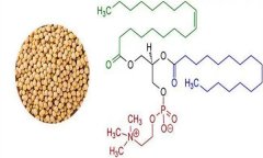 大豆異黃酮對人體有什么好處 什么食物含量多？